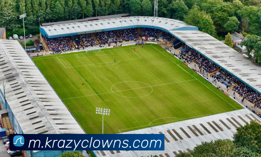 多媒体互动体验